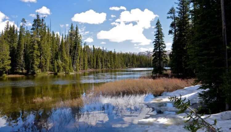 سری پنجاه و پنج تصویر زمینه های با کیفیت طبیعت   Nature