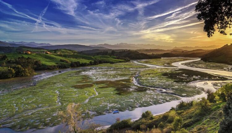 سری پنجاه و پنج تصویر زمینه های با کیفیت طبیعت   Nature
