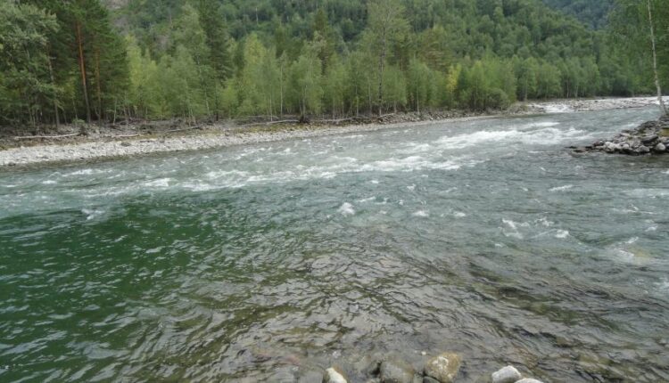 سری پنجاه و پنج تصویر زمینه های با کیفیت طبیعت   Nature