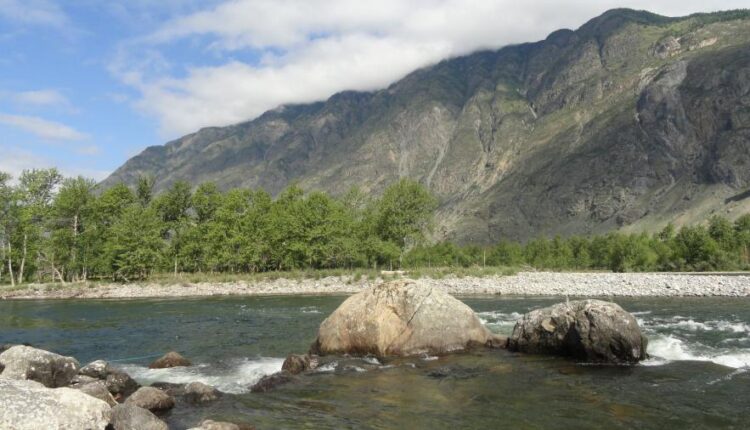 سری پنجاه و پنج تصویر زمینه های با کیفیت طبیعت   Nature