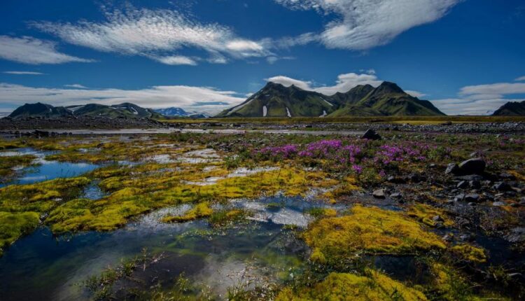سری پنجاه و پنج تصویر زمینه های با کیفیت طبیعت   Nature