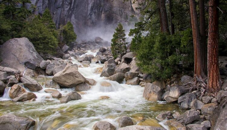 سری پنجاه و پنج تصویر زمینه های با کیفیت طبیعت   Nature