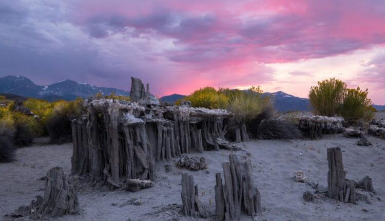 سری پنجاه و پنج تصویر زمینه های با کیفیت طبیعت   Nature