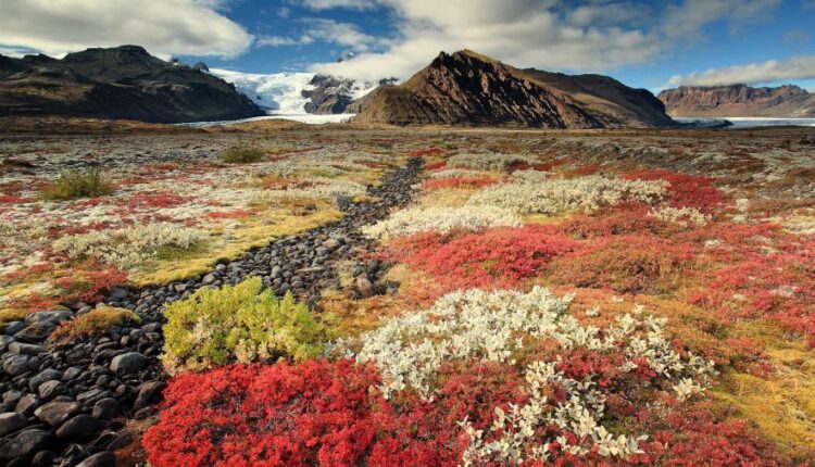 سری پنجاه و پنج تصویر زمینه های با کیفیت طبیعت   Nature