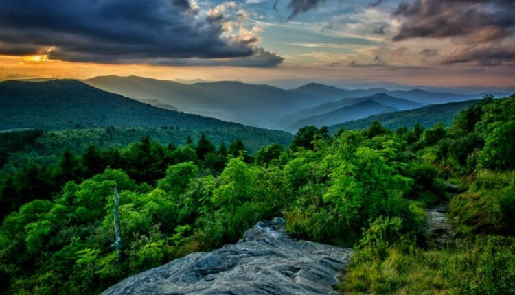 سری پنجاه و پنج تصویر زمینه های با کیفیت طبیعت   Nature