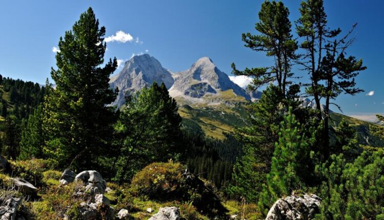 سری پنجاه و پنج تصویر زمینه های با کیفیت طبیعت   Nature