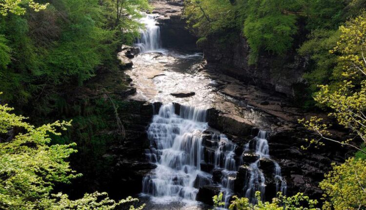 سری پنجاه و پنج تصویر زمینه های با کیفیت طبیعت   Nature