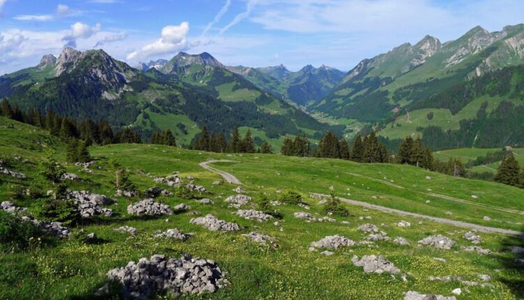 سری پنجاه و چهارم والپیپر های باکیفیت Ultra HD