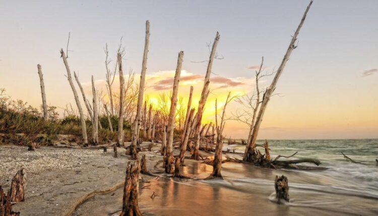 سری پنجاه و چهارم والپیپر های باکیفیت Ultra HD