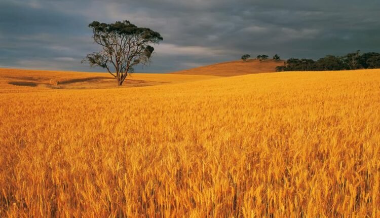 سری پنجاه و چهارم والپیپر های باکیفیت Ultra HD