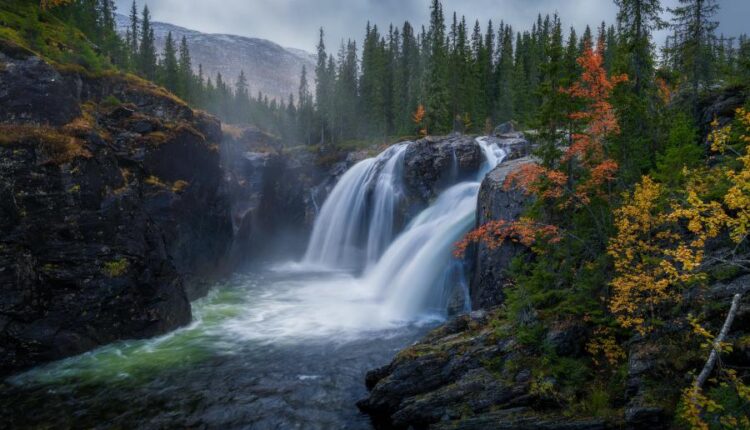 سری پنجاه و چهارم والپیپر های باکیفیت Ultra HD