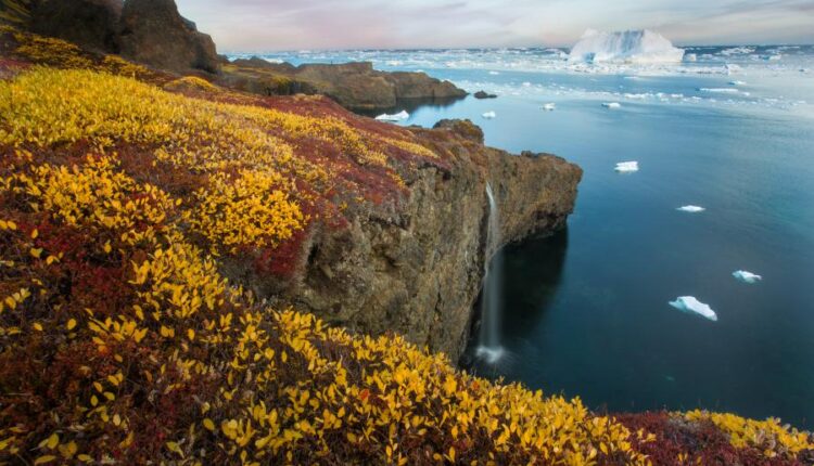 سری پنجاه و چهارم والپیپر های باکیفیت Ultra HD