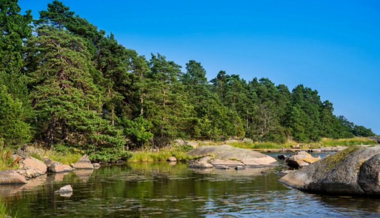 سری پنجاه و چهارم والپیپر های باکیفیت Ultra HD