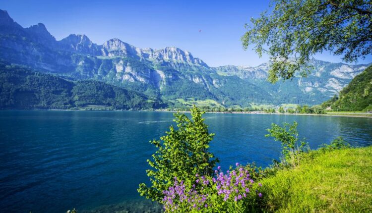 سری پنجاه و چهارم والپیپر های باکیفیت Ultra HD