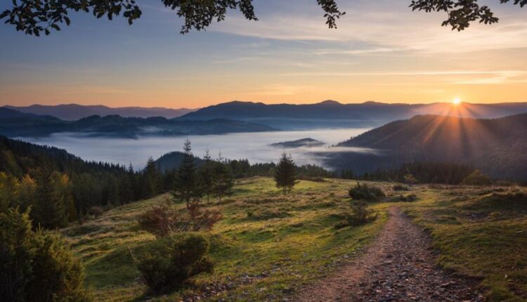 سری پنجاه و چهارم والپیپر های باکیفیت Ultra HD