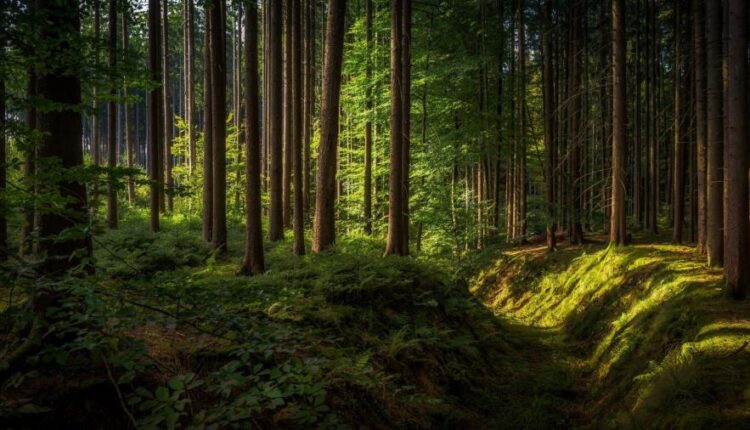 سری پنجاه و چهارم والپیپر های باکیفیت Ultra HD