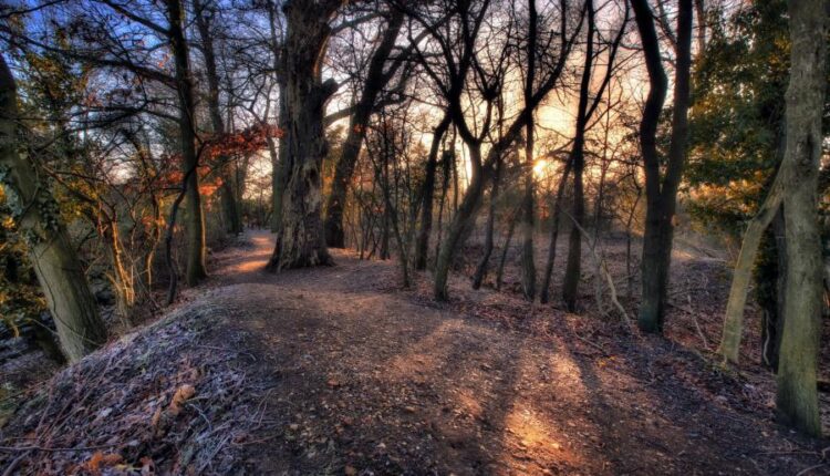 سری پنجاه و چهارم والپیپر های باکیفیت Ultra HD