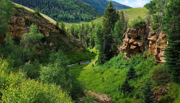 سری پنجاه و چهارم والپیپر های باکیفیت Ultra HD