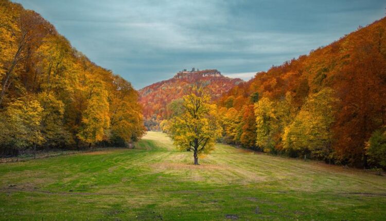 سری پنجاه و چهارم والپیپر های باکیفیت Ultra HD