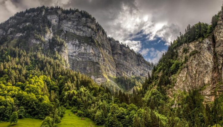 سری پنجاه و چهارم والپیپر های باکیفیت Ultra HD