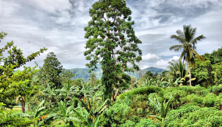 سری پنجاه و چهارم والپیپر های باکیفیت Ultra HD