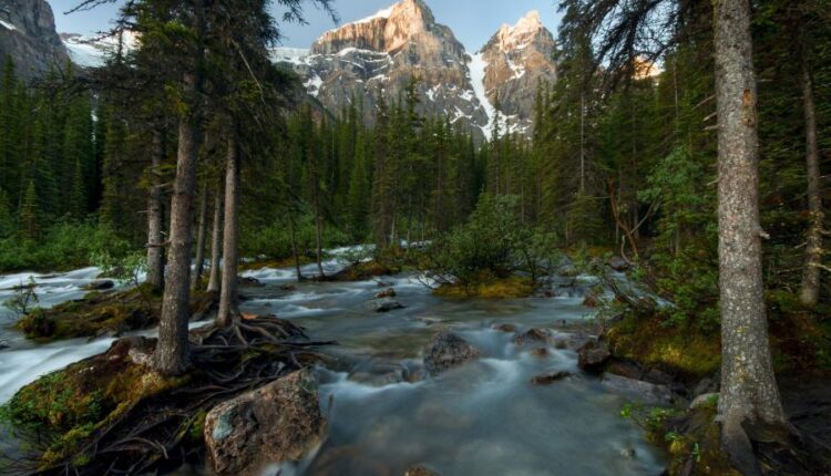 سری پنجاه و چهارم والپیپر های باکیفیت Ultra HD