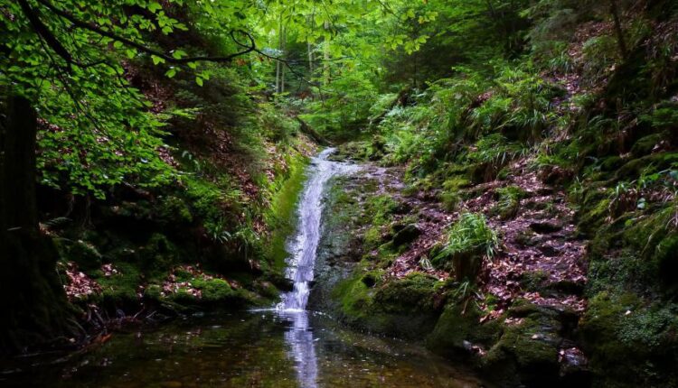 سری چهل و هفتم والپیپر های با کیفیت طبیعت   Nature Wallpapers