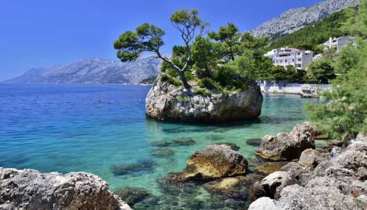 سری چهل و هفتم والپیپر های با کیفیت طبیعت   Nature Wallpapers