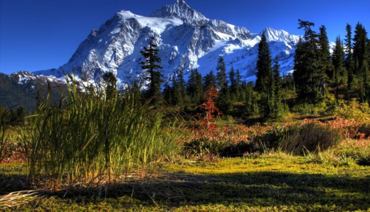 سری چهل و هفتم والپیپر های با کیفیت طبیعت   Nature Wallpapers