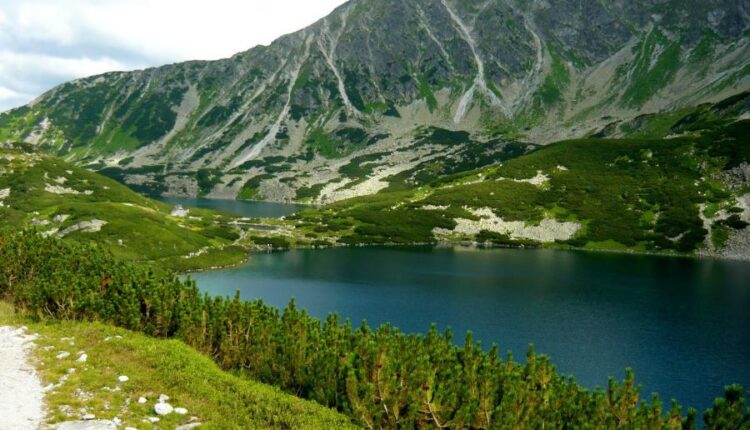 سری چهل و هفتم والپیپر های با کیفیت طبیعت   Nature Wallpapers