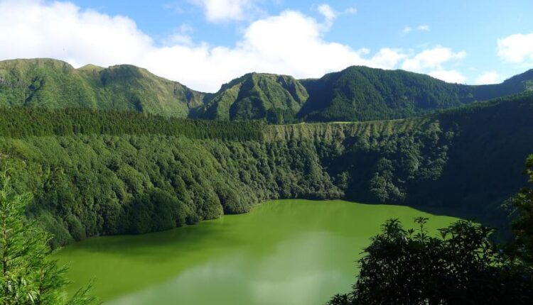 سری چهل و هفتم والپیپر های با کیفیت طبیعت   Nature Wallpapers