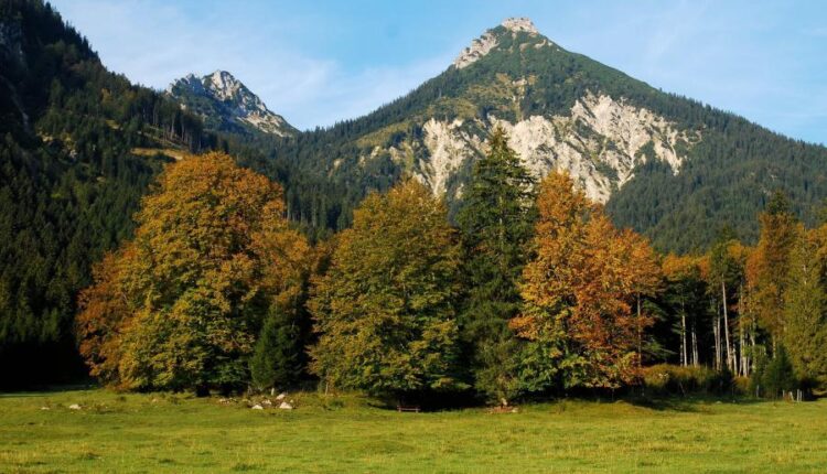 سری چهل و هفتم والپیپر های با کیفیت طبیعت   Nature Wallpapers