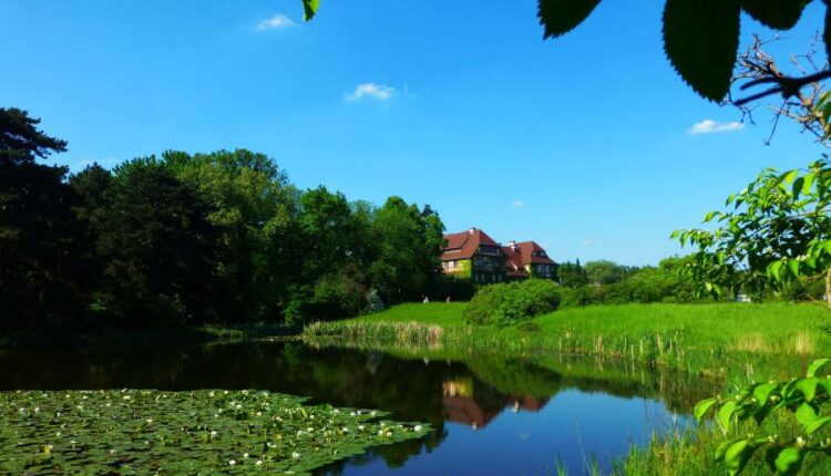 سری چهل و هفتم والپیپر های با کیفیت طبیعت   Nature Wallpapers