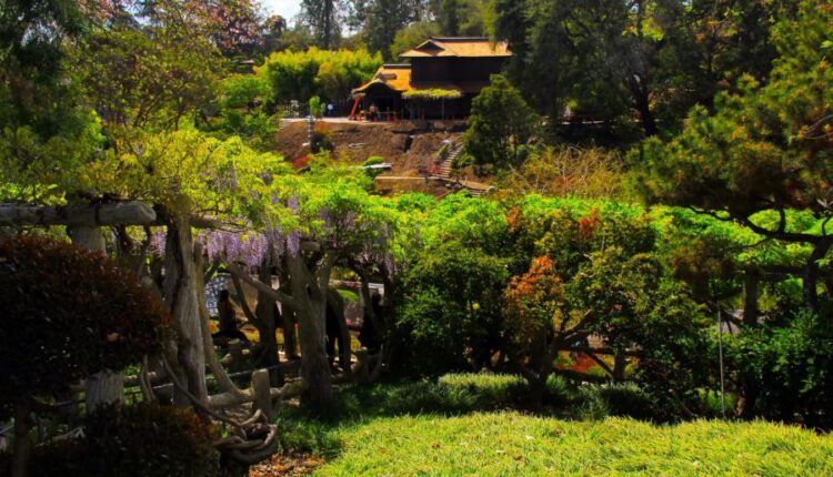 سری چهل و هفتم والپیپر های با کیفیت طبیعت   Nature Wallpapers