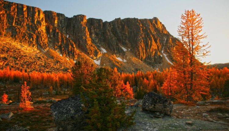 سری چهل و هفتم والپیپر های با کیفیت طبیعت   Nature Wallpapers