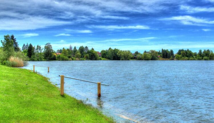 سری چهل و هفتم والپیپر های با کیفیت طبیعت   Nature Wallpapers