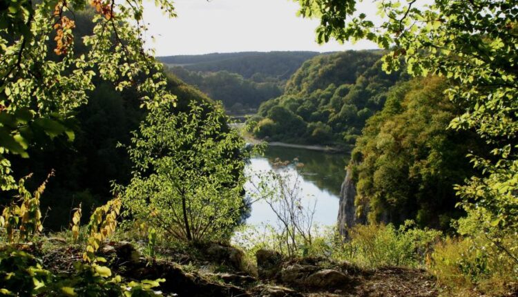 سری چهل و هفتم والپیپر های با کیفیت طبیعت   Nature Wallpapers