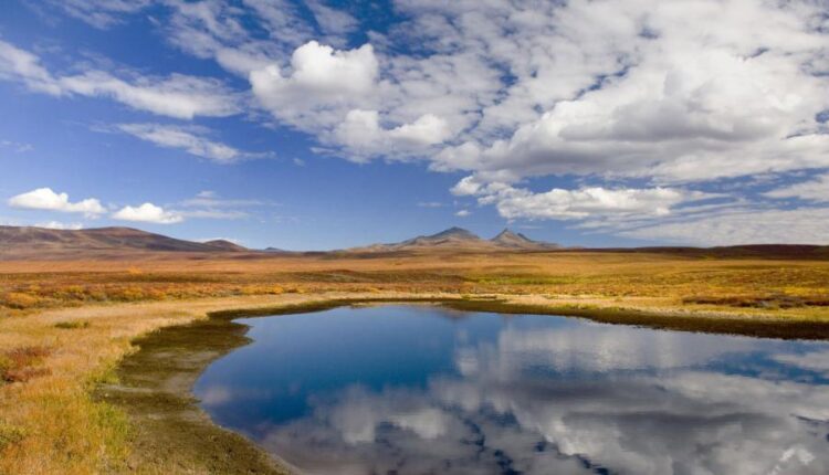 سری چهل و هفتم والپیپر های با کیفیت طبیعت   Nature Wallpapers