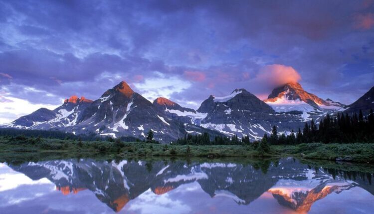 سری چهل و هفتم والپیپر های با کیفیت طبیعت   Nature Wallpapers