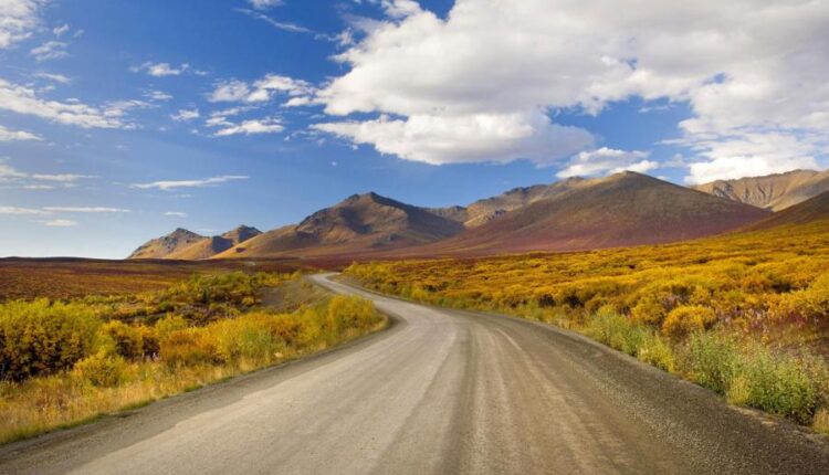 سری چهل و هفتم والپیپر های با کیفیت طبیعت   Nature Wallpapers