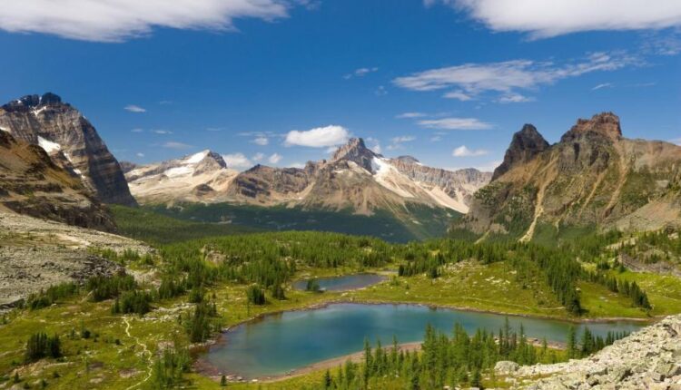 سری چهل و هفتم والپیپر های با کیفیت طبیعت   Nature Wallpapers