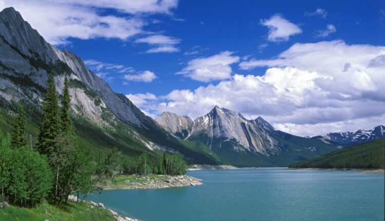 سری چهل و هفتم والپیپر های با کیفیت طبیعت   Nature Wallpapers