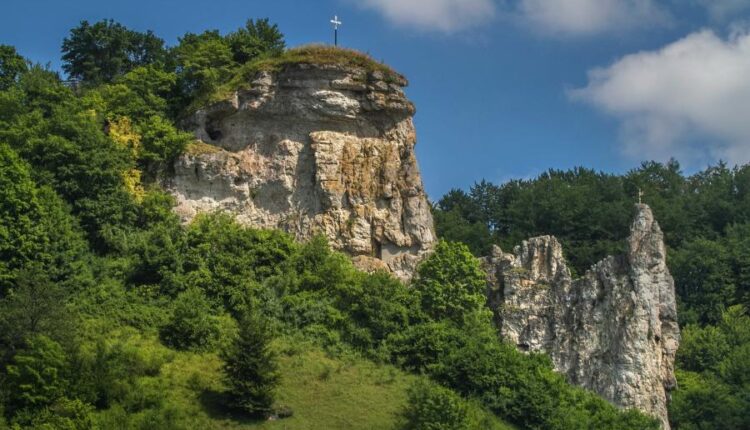 سری چهل و هفتم والپیپر های با کیفیت طبیعت   Nature Wallpapers