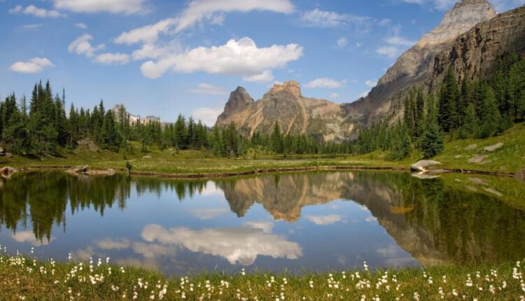 سری چهل و هفتم والپیپر های با کیفیت طبیعت   Nature Wallpapers