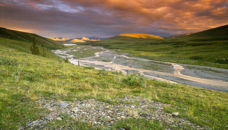 سری چهل و هفتم والپیپر های با کیفیت طبیعت   Nature Wallpapers