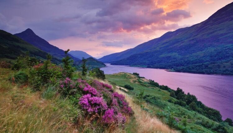 سری چهل و هفتم والپیپر های با کیفیت طبیعت   Nature Wallpapers