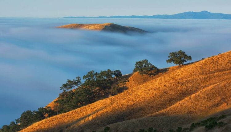 سری چهل و هفتم والپیپر های با کیفیت طبیعت   Nature Wallpapers