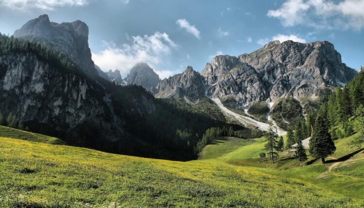 سری چهل و هفتم والپیپر های با کیفیت طبیعت   Nature Wallpapers