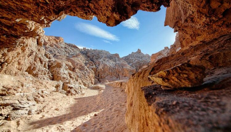 سری چهل و هفتم والپیپر های با کیفیت طبیعت   Nature Wallpapers