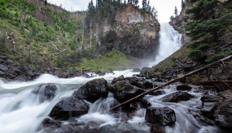 سری چهل و هفتم والپیپر های با کیفیت طبیعت   Nature Wallpapers